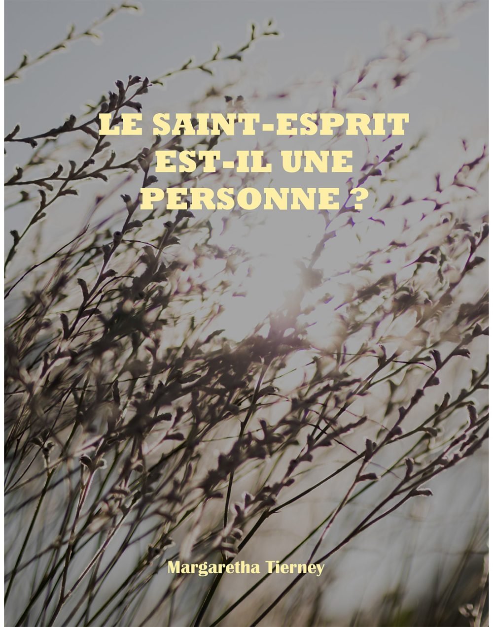 Le Saint-Esprit est-il une personne ?