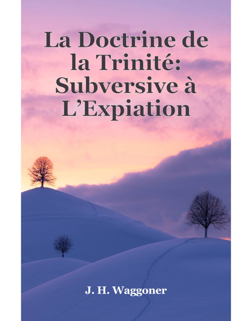 La doctrine de la trinité subversive à l’expiation